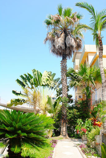 Exterior & Views 2, Hostal Antares, Manta