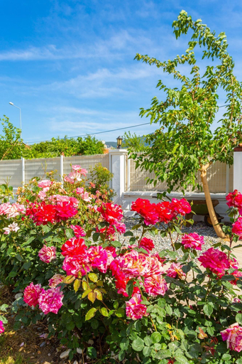 Exterior & Views 2, Villa Mina Large Private Pool A C Wifi Car Not Required Eco-friendly - 2834, Ortaca