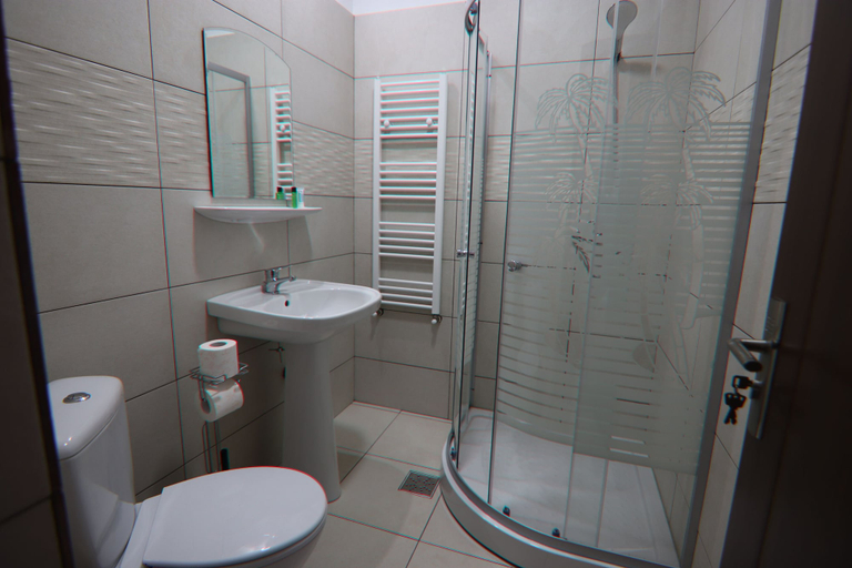 Bathroom 4, Pensiunea Emelys, Barnova