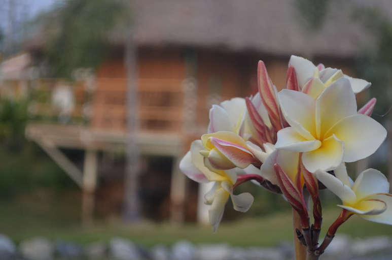Exterior & Views 2, The Orchid Resort & Relax, Kantharawichai