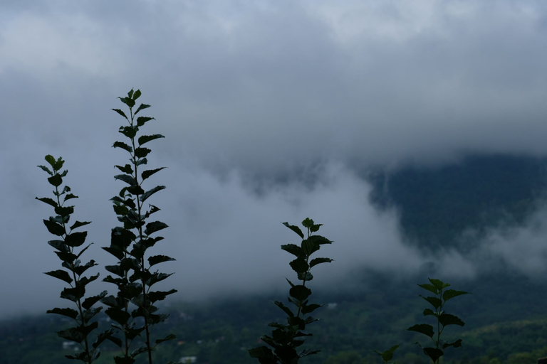 Others 5, Chochao Khao Kho, Khao Kho