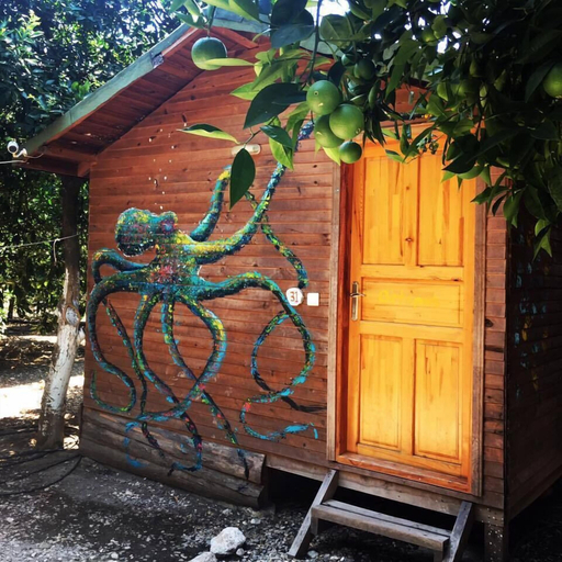 Exterior 2, Olympos Alaturka Pansiyon, Kemer