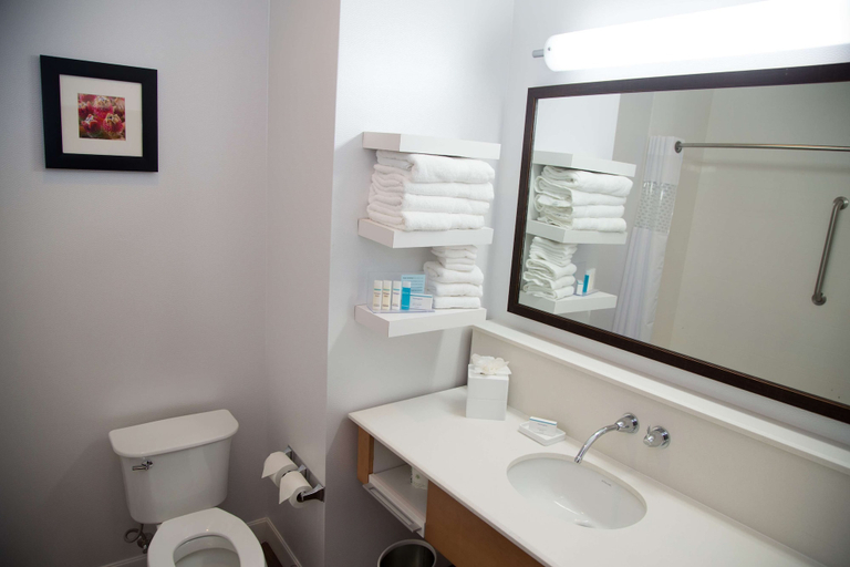 Bathroom 5, Hampton Inn & Suites McKinney, Collin