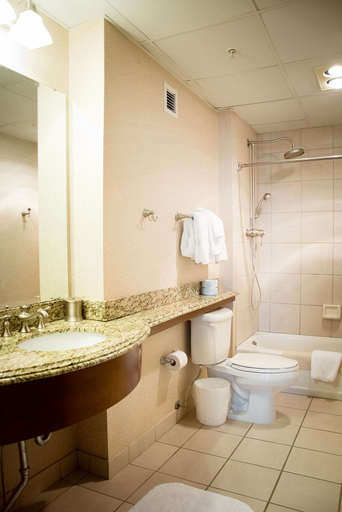 Bathroom 4, The Blennerhassett Hotel, Wood