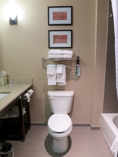 Bathroom 5, Comfort Suites Regina, Division No. 6