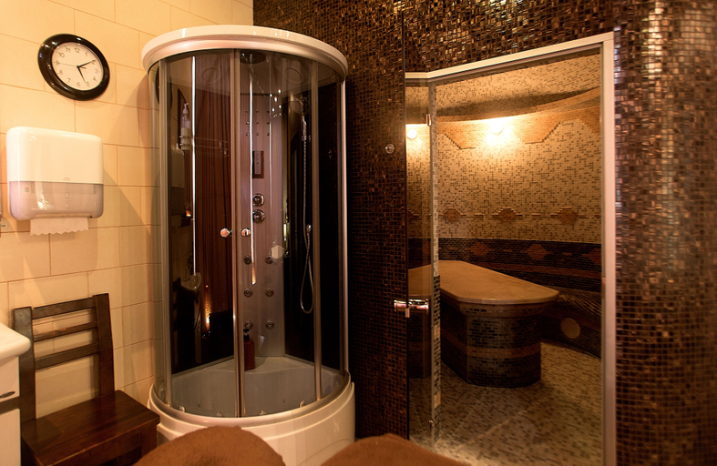 Bathroom 4, Crona Medical & SPA Hotel, Novosibirskiy rayon