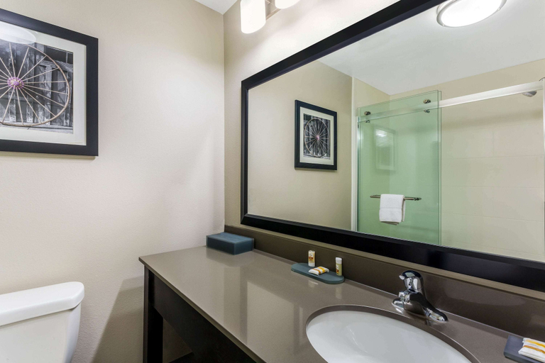 Bathroom 4, La Quinta Inn & Suites by Wyndham Monahans, Ward