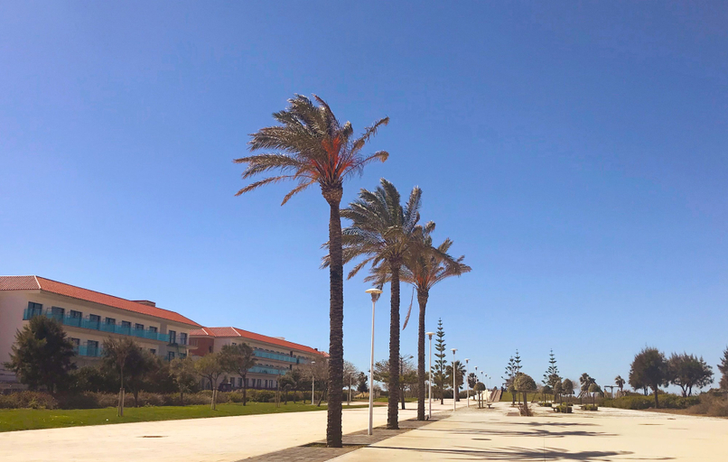 Exterior & Views 2, Hotel Best Costa Ballena, Cádiz