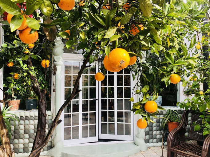 Others 1, House Sleeps 4 With Private Garden, Portimão