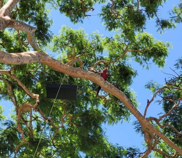 Others 5, Pousada Rancho Bonito, Bonito