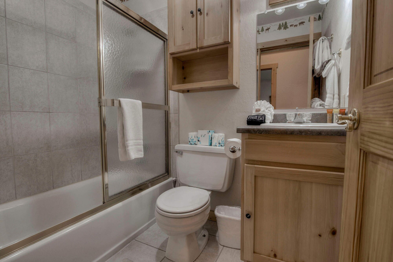 Bathroom 5, 4 Oclock Ski in Ski out, Summit