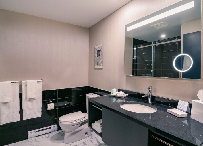 Bathroom 4, Quality Inn & Suites, La Mitis