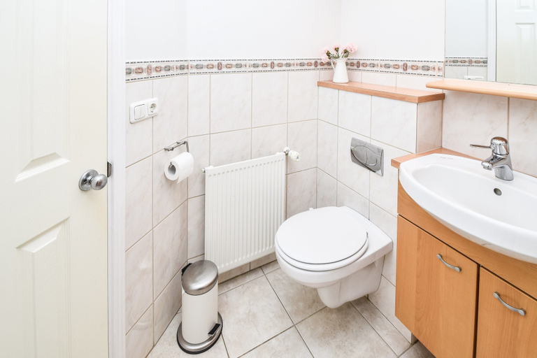 Bathroom 4, House H49, Bessastaðahreppur