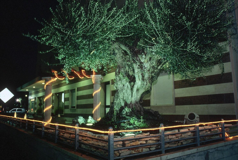 Exterior & Views 2, Maritan Hotel & Spa, Padua