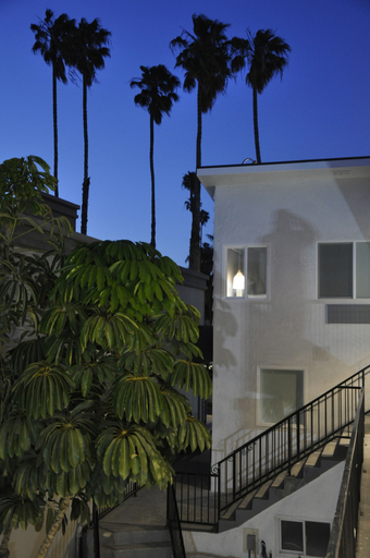 Exterior & Views 2, The Belmont Shore Inn, Los Angeles