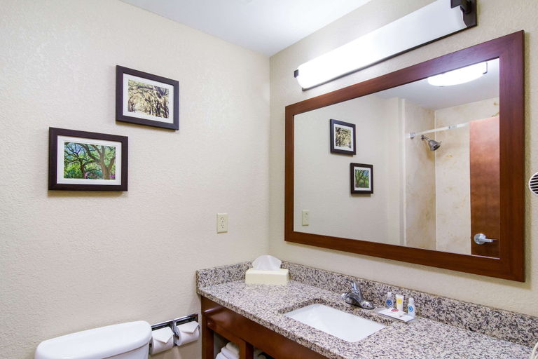 Bathroom 4, Comfort Inn Blackshear Hwy 84, Pierce