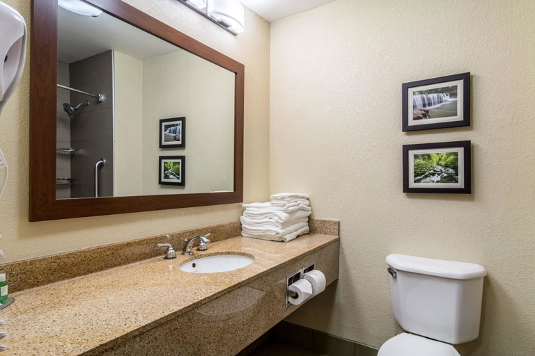 Bathroom 4, Comfort Inn & Suites - Hannibal, Ralls