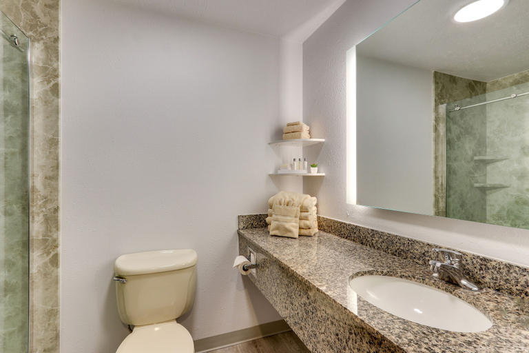 Bathroom 4, ParkShore Resort, Grand Traverse