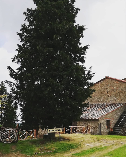 Exterior & Views, Agriturismo Sinciano, Arezzo