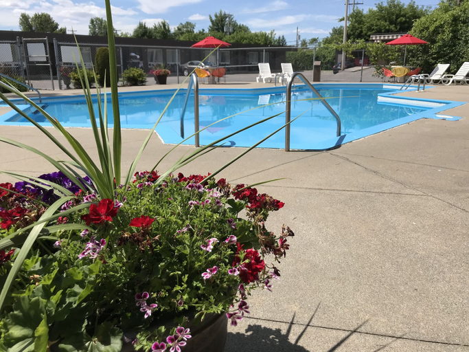 Sport & Beauty 5, Motel Adam, Communauté-Urbaine-de-l'Outaouais