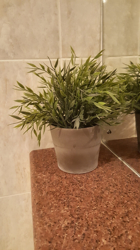 Bathroom 3, Tony Asga - Tony's Apartments, Edinburgh