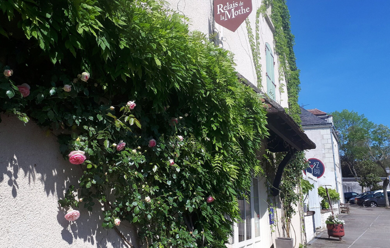Exterior & Views 2, Logis Hotel Restaurant Relais de la Mothe, Indre-et-Loire