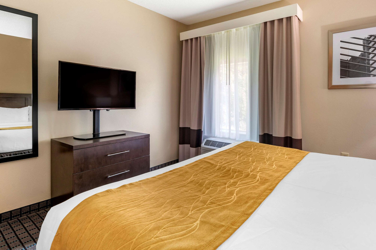 Bedroom 3, Comfort Inn & Suites Cincinnati Uptown Clifton, Cincinnati