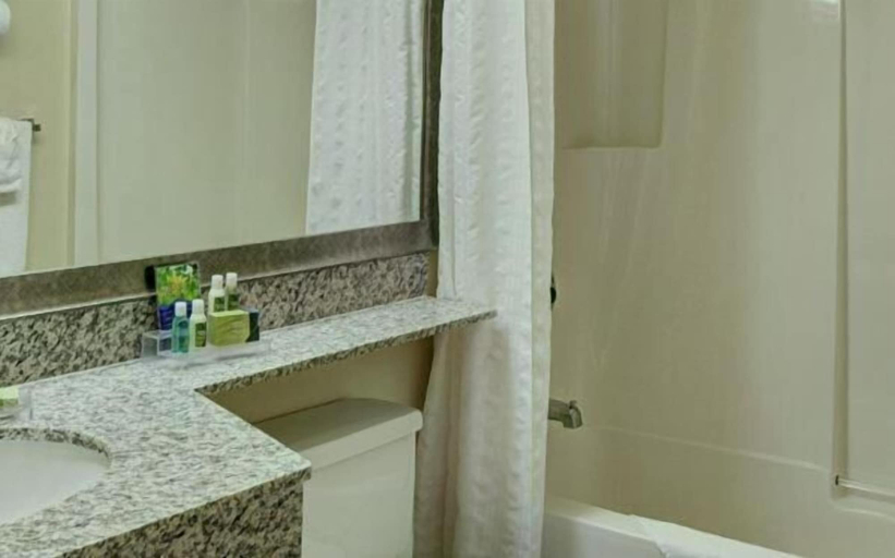 Bathroom 4, Thompson's Best Value Inn & Suites, Division No. 22