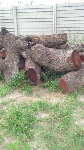 Others 5, Garden Guest House Bed & Bre Chitungwiza, Harare