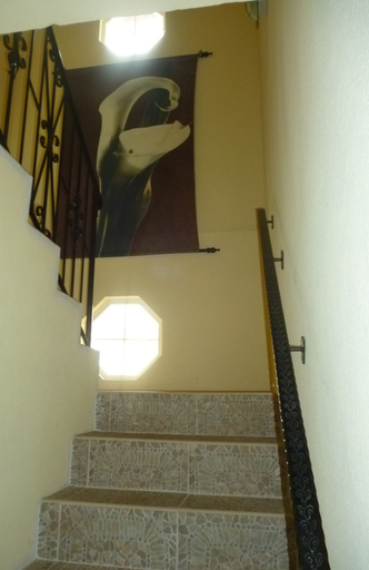 Others 5, GoBajac