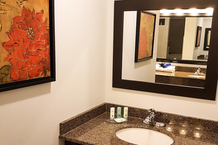 Bathroom 4, Quality Inn West Edmonton, Division No. 11
