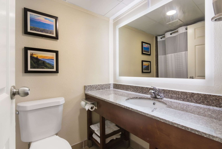 Bathroom 5, Comfort Inn Kings Mountain, Cleveland