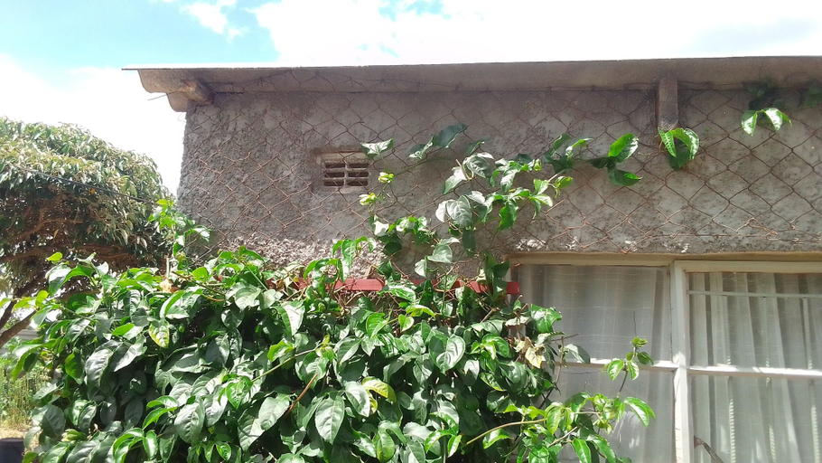 Others 4, Garden Guest House Bed & Bre Chitungwiza, Harare