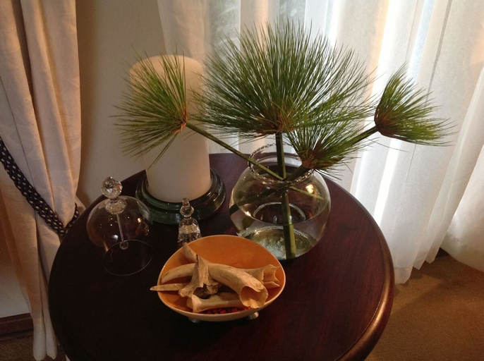 Food & Drinks 5, Plumbago Guest House, Ehlanzeni
