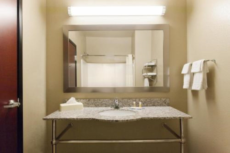 Bathroom 4, Quality Inn & Suites Groesbeck North, Limestone