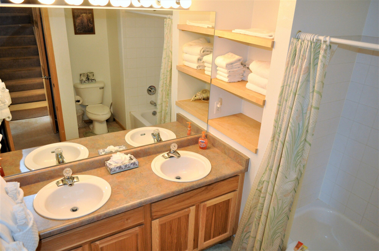 Bathroom 4, Forest Park 3 Bed 4 Bath Townhome, Summit
