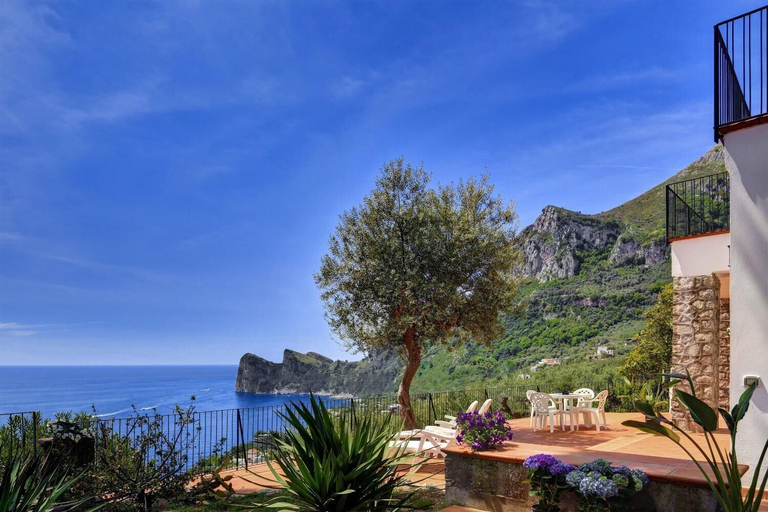 Property grounds, Miomar, Napoli