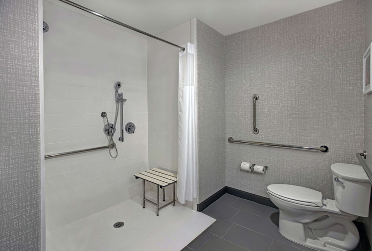 Bathroom 4, Hampton Inn Weslaco, Hidalgo