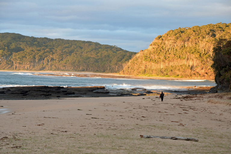 Others 5, Pebbly Beach Shacks, Shoalhaven - Pt B