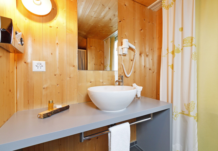 Bathroom 3, Hirschen Guesthouse - Village Hotel, Toggenburg