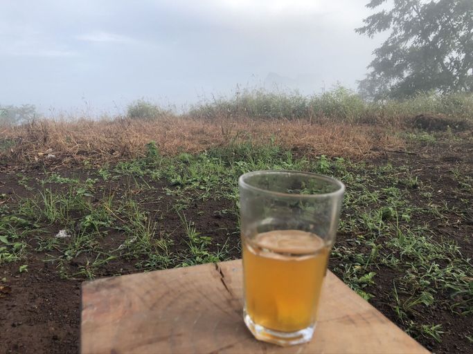 Food & Drinks 5, Ananta Ecostays, Palghar