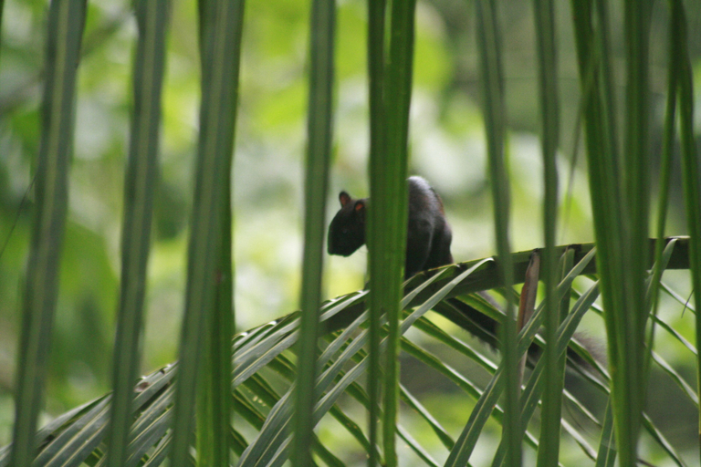 Others 4, Selva Linda Lodge, Aguirre