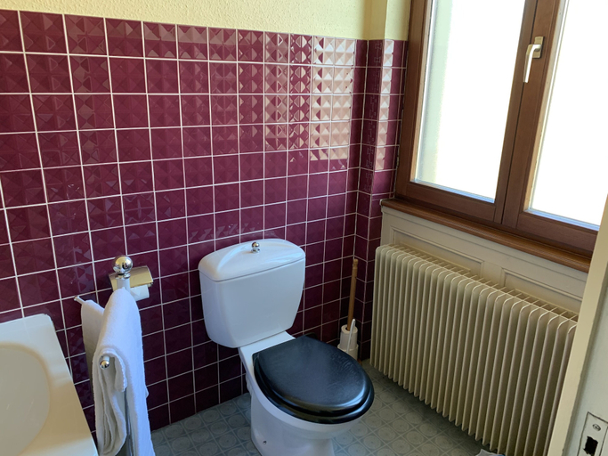 Bathroom 4, CITOTEL LES VOSGES, Bas-Rhin