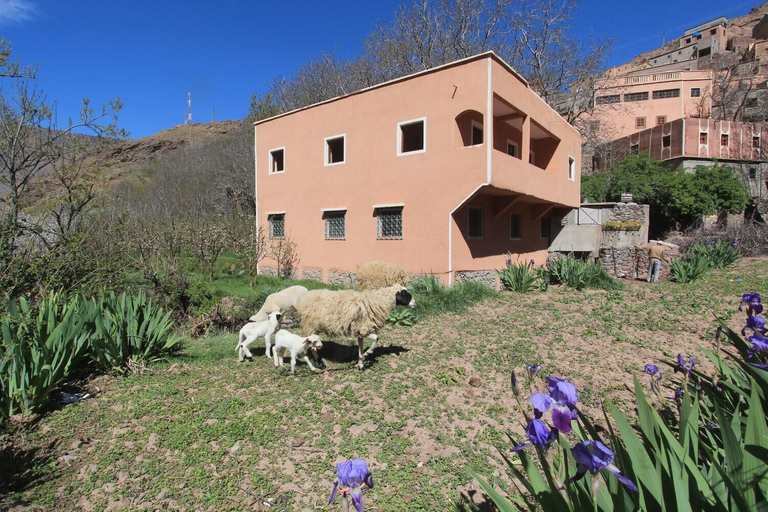 Exterior & Views, Dar Adouss, Al Haouz