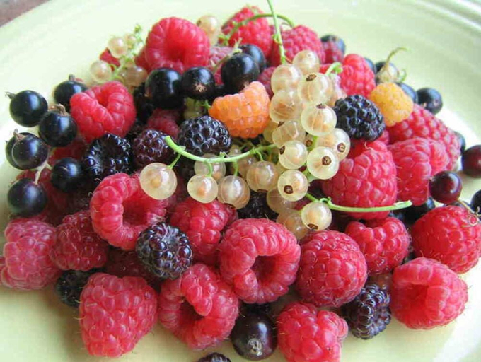 Food & Drinks 5, Agriturismo da Ysy, Sondrio
