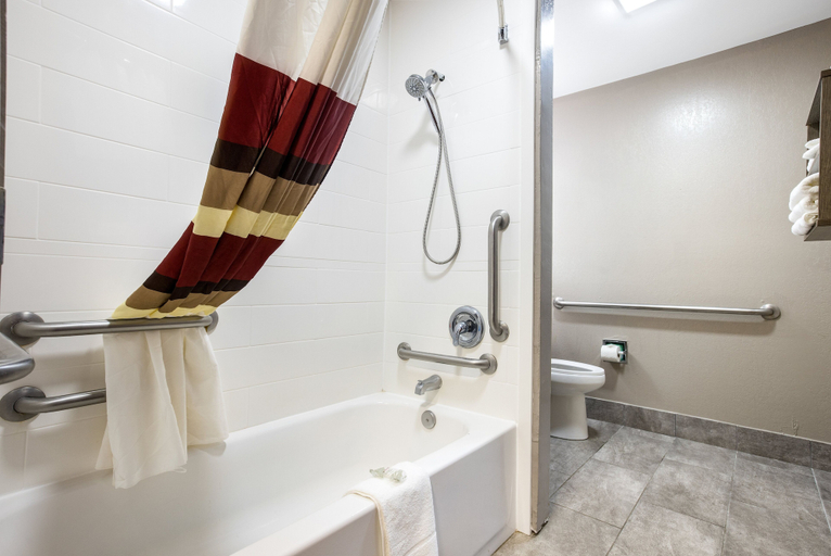 Bathroom 4, Red Roof Inn PLUS+ & Suites Savannah - I-95, Chatham