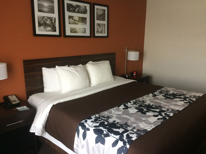 Bedroom 3, Sleep Inn & Suites and Conference Center Downtown, Indianapolis