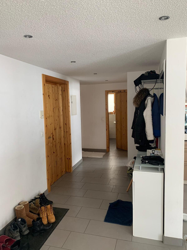 Others 4, Center Chalet Flat, Visp