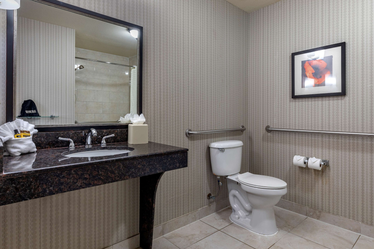 Bathroom 4, Best Western Plus DFW Airport West Euless, Tarrant