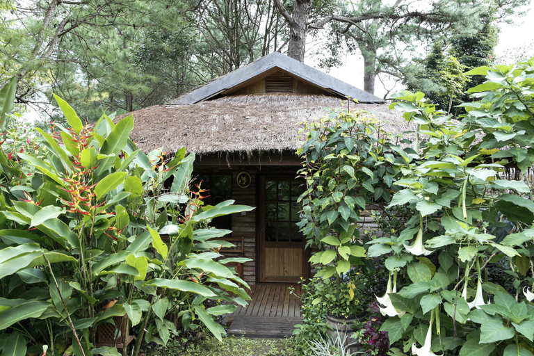 Others 5, Amara Mountain Resort, Taunggye